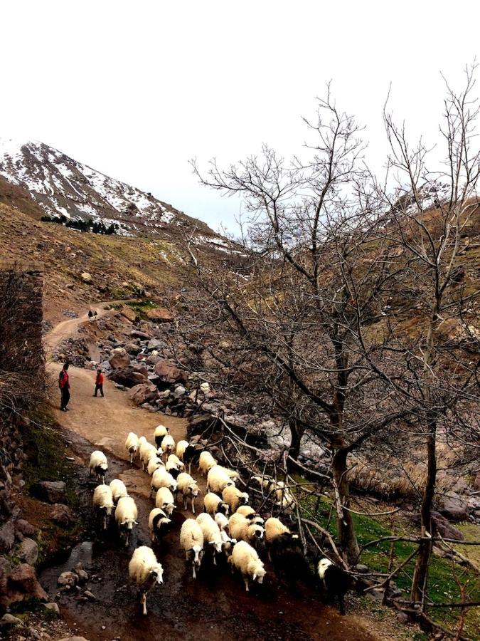 Gite Entre Les Vallees Tacheddirt المظهر الخارجي الصورة